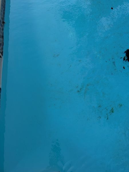 Close-up of pool water with leaves and debris on the floor, partway through a cleaning