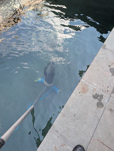 Pole-mounted vacuum cleaning the floor of a pool beside stone coping